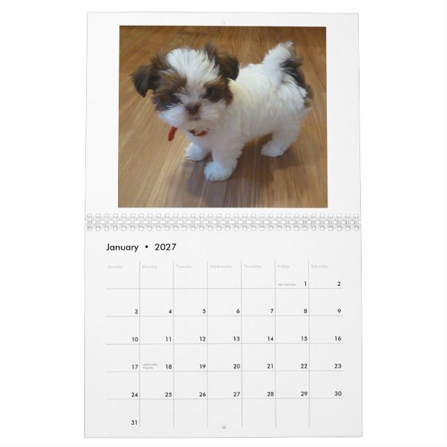 Shih Tzu valpkalender 2013 Kalender (Jan 2027)