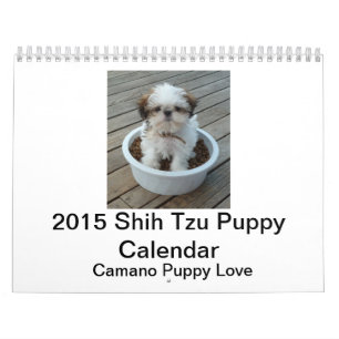 Shih Tzu valpkalender 2015 Kalender