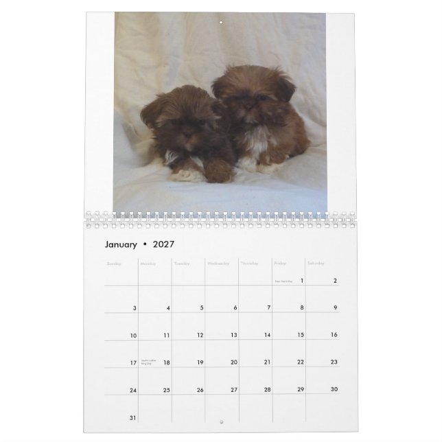 Shih Tzu valpkalender 2015 Kalender (Jan 2027)
