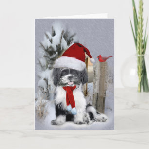 Shih Tzu vinterscen Helgkort