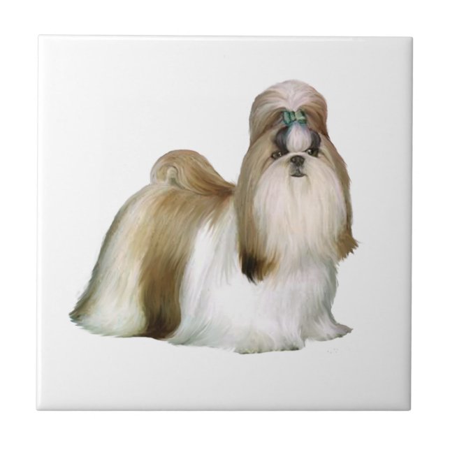 Shih Tzu (visa ställ) Kakelplatta (Framsidan)