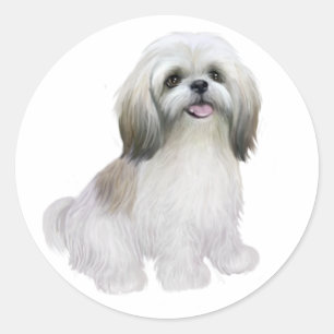 Shih Tzu - Vit med gråbrun Runt Klistermärke