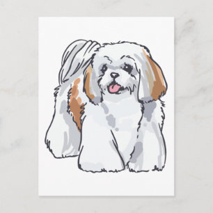 Shih Tzu Vykort