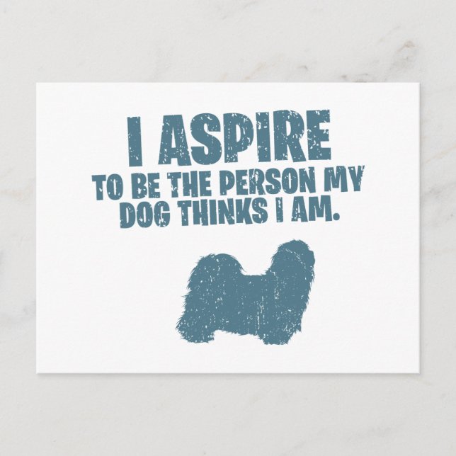 Shih Tzu Vykort (Framsida)