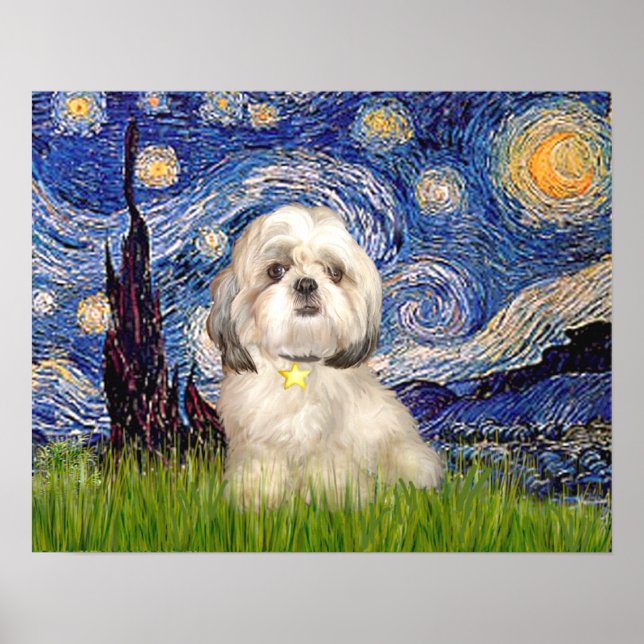 Shih Tzu (Y) - Stjärnighet Poster (Framsidan)