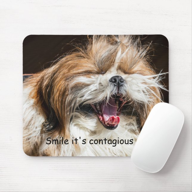 Shih tzu yawawatt skrattade roligt leende text musmatta (Med mus)