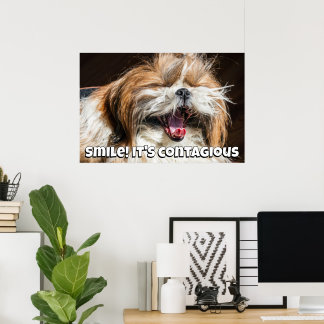 Shih tzu yawning laughing smile text customize poster