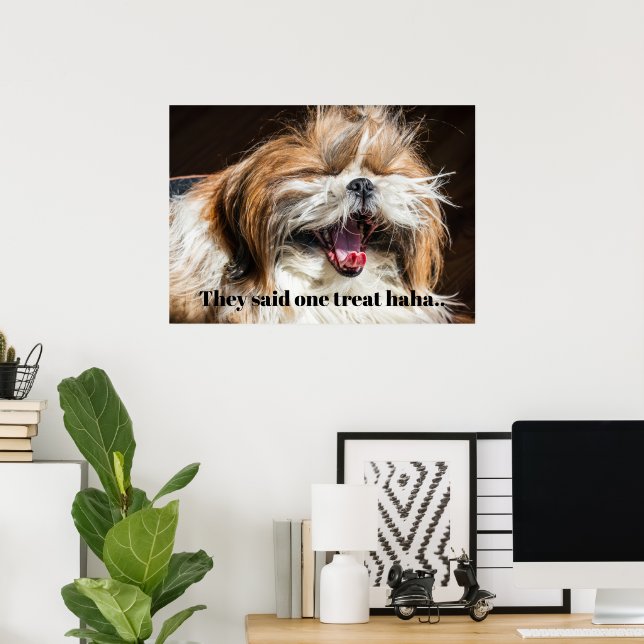 Shih tzu yawning skrattar lustig text anpassa poster (Hemmakontoret)
