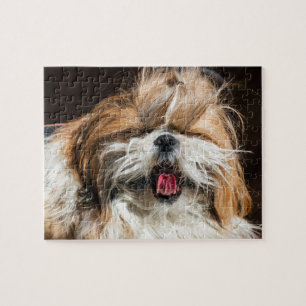 Shih tzu yawning tunga lustig söt pussel