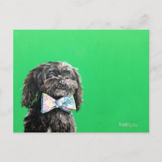 Shih Tzu Yorkie Hund Postcard - Chip Vykort