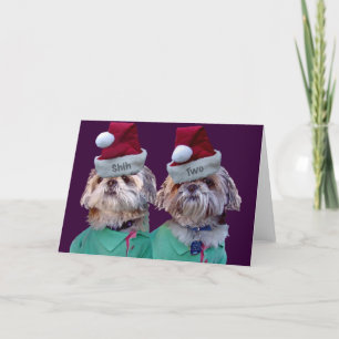 Shih Tzues Shih två julhälsningkort Helgkort