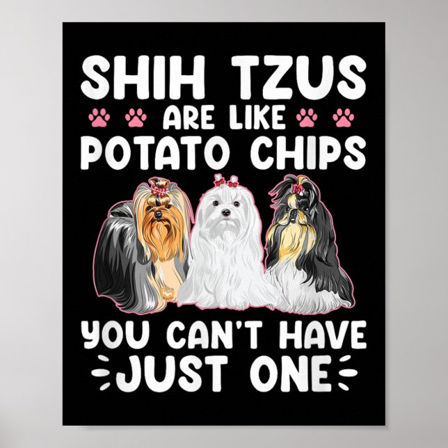Shih Tzus Are Like Tato Chips You Can't Have Shiht Poster (Framsidan)