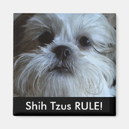 Shih Tzus RULE-kylskåp, magnet