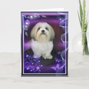 ShihTzu hälsningkort Kort