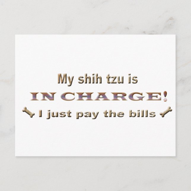 shihtzu vykort (Framsida)