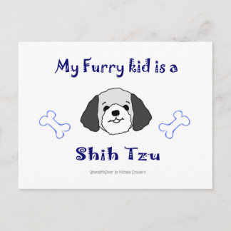 ShihTzuGreyWhite Vykort