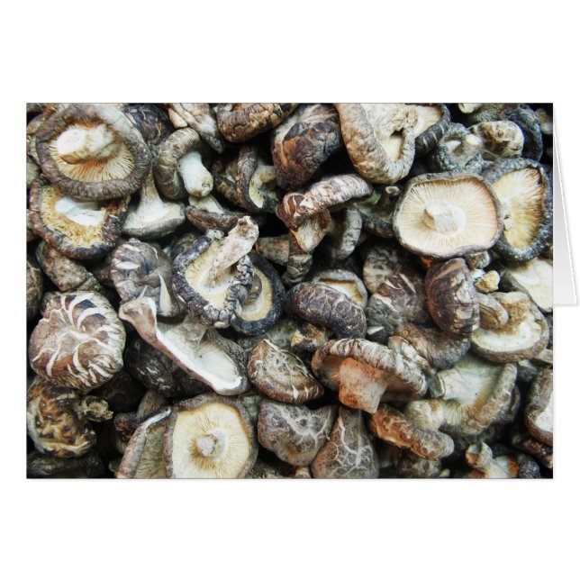 Shiitake svampar Card Hälsningskort (Framsidan Horizontal)