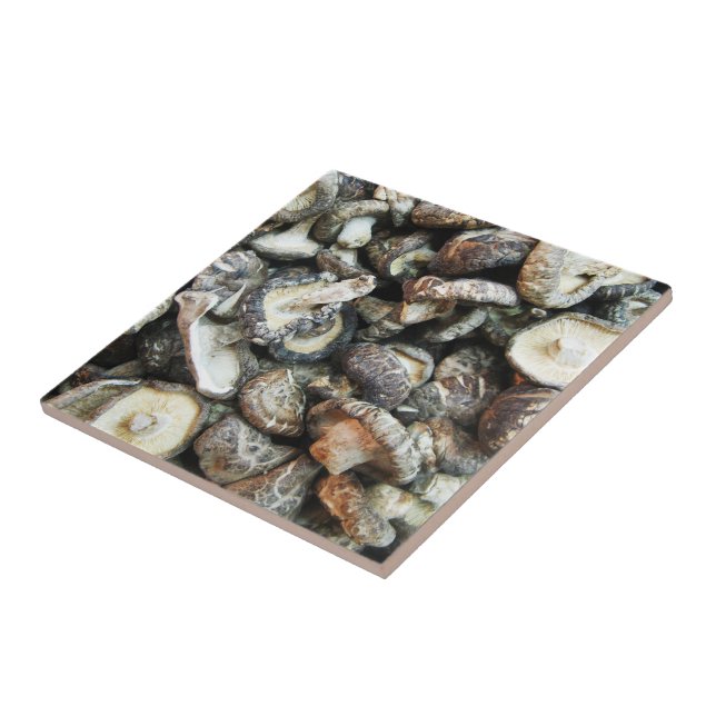 Shiitake Svampar Kakelplatta (Sidan)