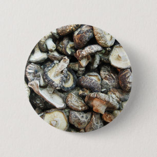 Shiitake Svampar Knapp