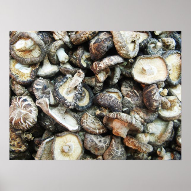 Shiitake Svampar Poster (Framsidan)