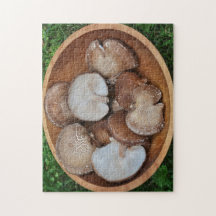Shiitake Svampar