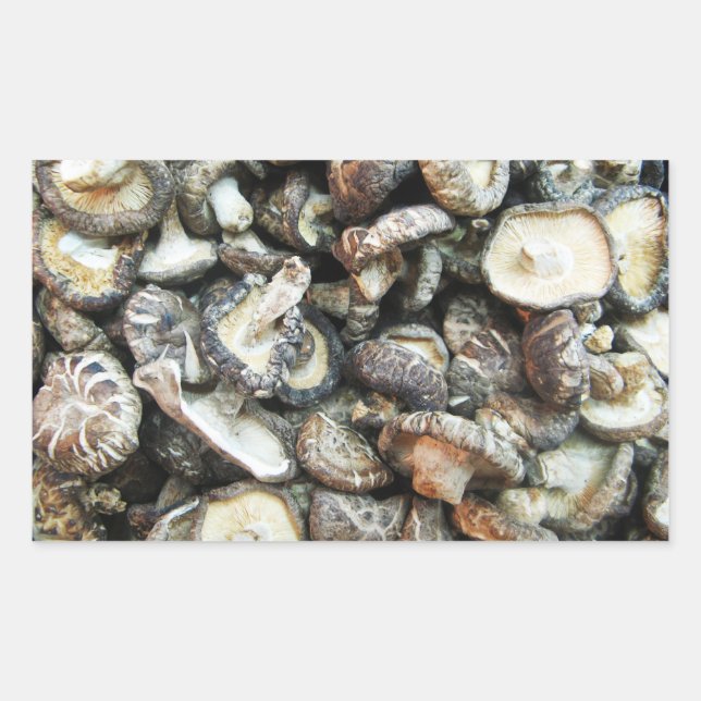 Shiitake Svampar Rektangulärt Klistermärke (Framsida)