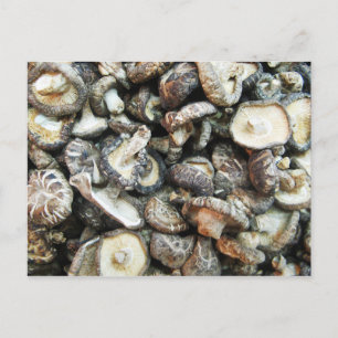 Shiitake Svampar Vykort