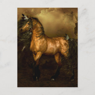 Shikoba Native American Horse Vykort
