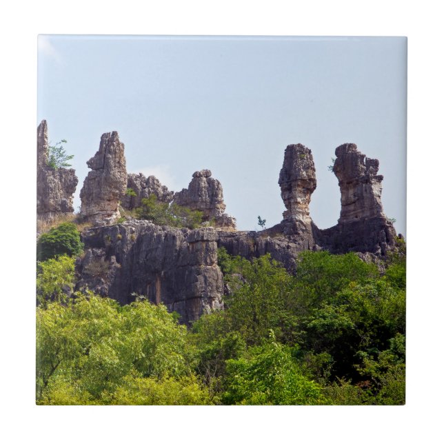 Shilin-stenacles Stone-Forest - Yunnan,China,Asien Kakelplatta (Framsidan)