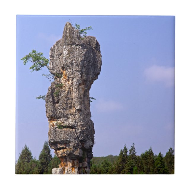 Shilin-stenacles Stone-Forest - Yunnan,China,Asien Kakelplatta (Framsidan)