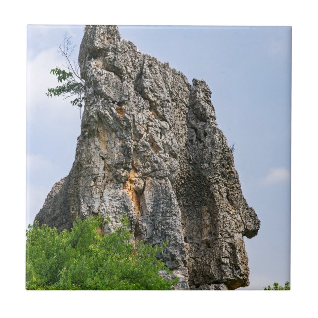 Shilin-stenacles Stone-Forest - Yunnan,China,Asien Kakelplatta (Framsidan)