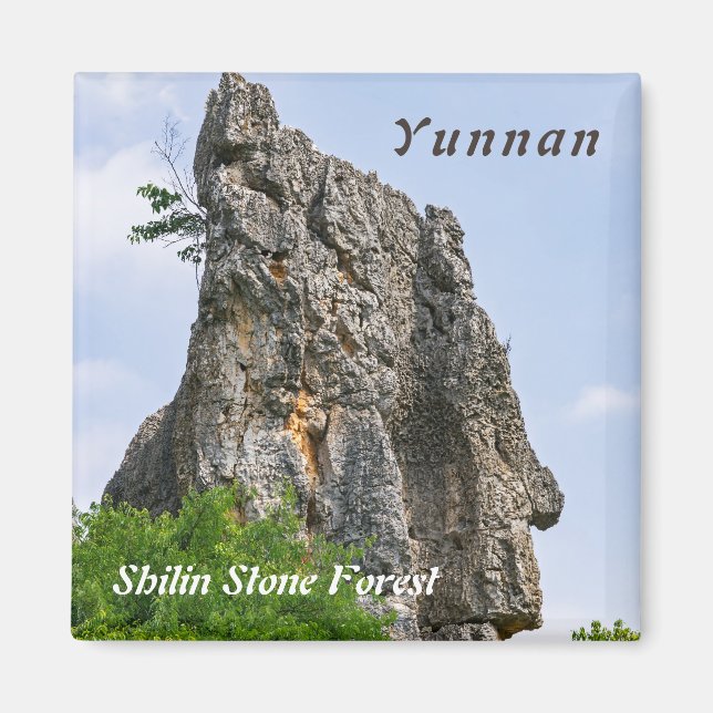 Shilin-stenacles Stone-Forest - Yunnan,China,Asien Magnet (Framsidan)