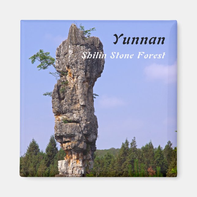 Shilin-stenacles Stone-Forest - Yunnan,China,Asien Magnet (Framsidan)