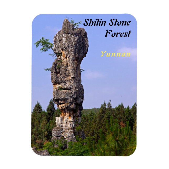 Shilin-stenacles Stone-Forest - Yunnan,China,Asien Magnet (Vertikal)