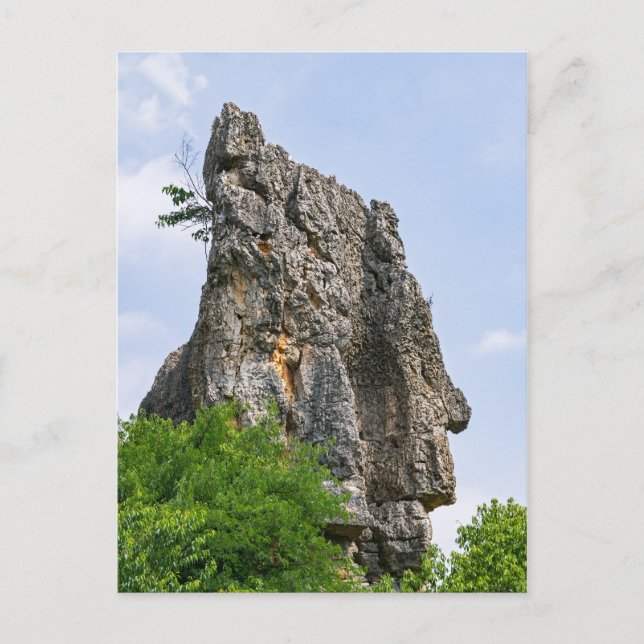 Shilin-stenacles Stone-Forest - Yunnan,China,Asien Vykort (Framsida)