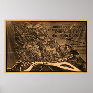 Shiloh Birds Öga View Poster