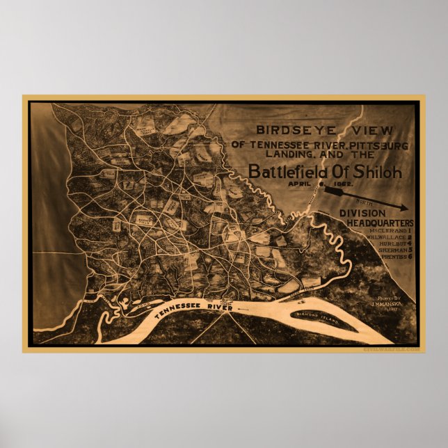 Shiloh Birds Öga View Poster (Framsidan)