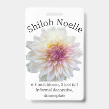 Shiloh Noelle Dahlia ID-märke