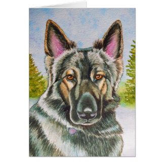 Shiloh Shepherd Hälsningskort