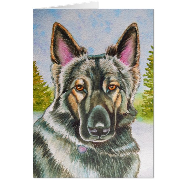 Shiloh Shepherd Hälsningskort (Framsidan)