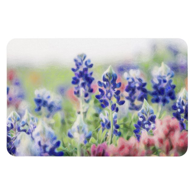 Shimmering Bluebonnets Magnet (Horisontell)