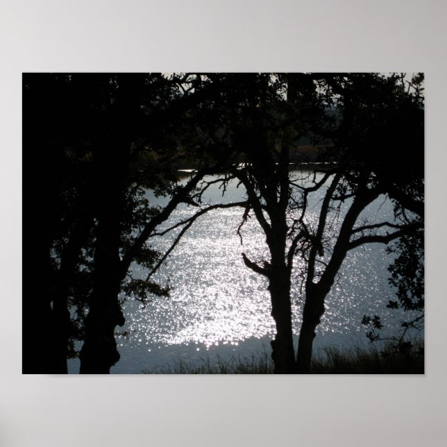 ’Shimmering Silhouettes’ Poster (Framsidan)