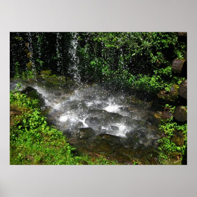 Shimmering Vatten Poster (Framsidan)