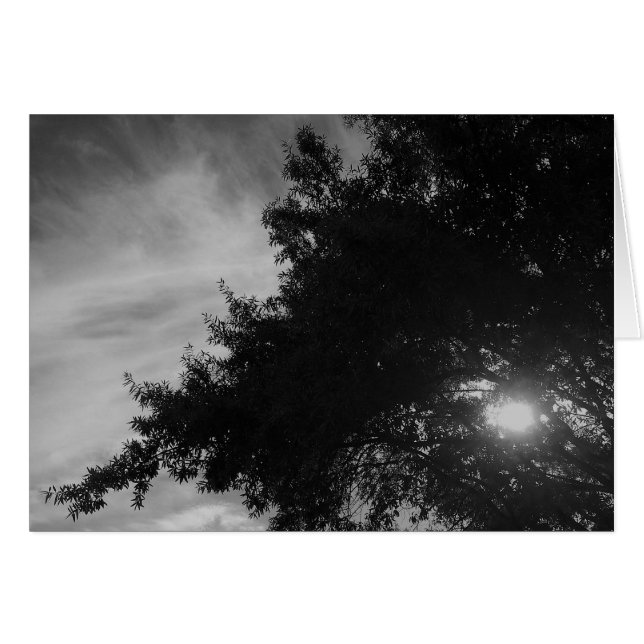 Shindrande genom hälsningskort (Framsidan Horizontal)