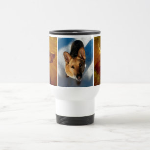 Shine on Me and Snö German Shepherd Resemugg