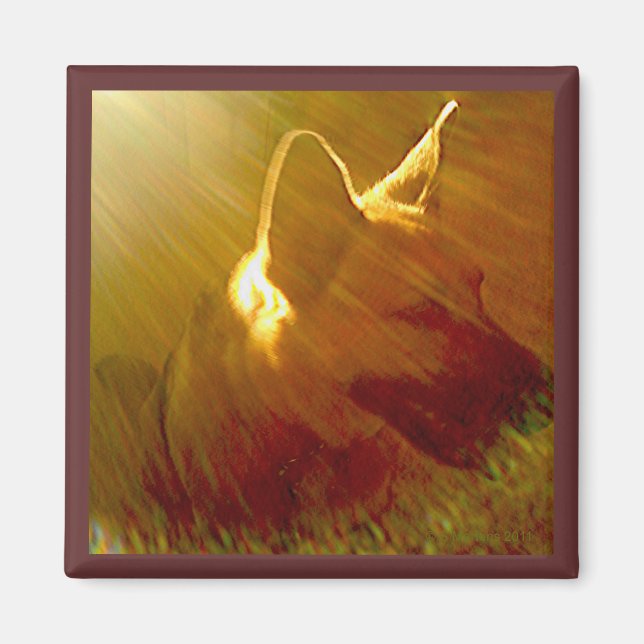 Shine on Me German Shepherd #1 Magnet (Framsidan)