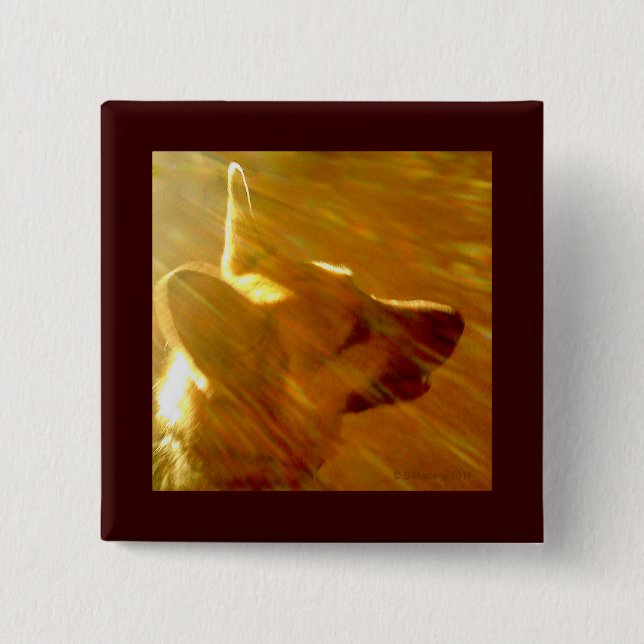 Shine on Me German Shepherd #2 Knapp (Framsida)