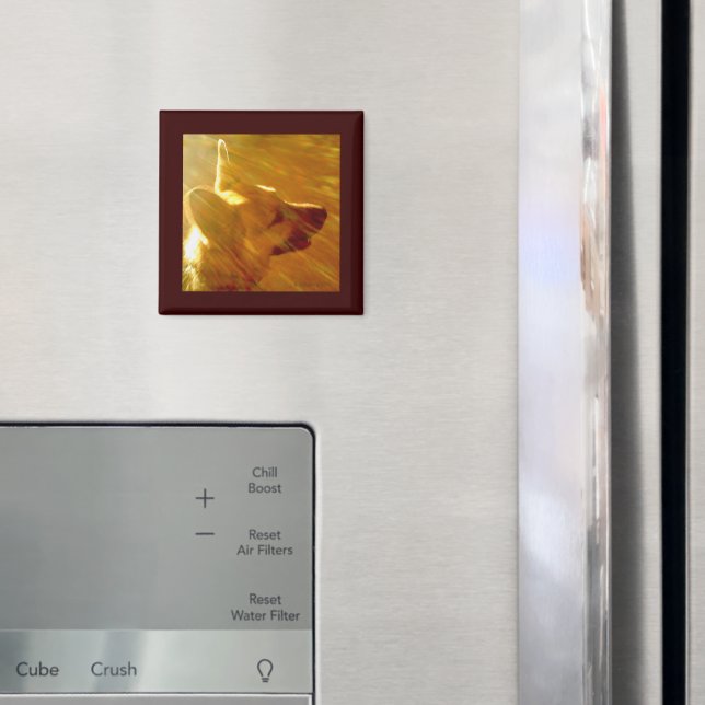 Shine on Me German Shepherd #2 Magnet (In Situ (Fridge))