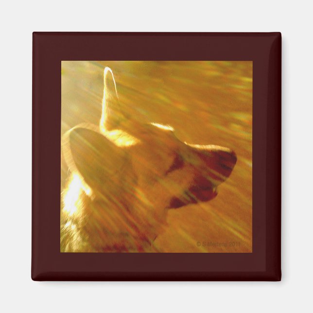 Shine on Me German Shepherd #2 Magnet (Framsidan)