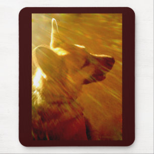 Shine on Me German Shepherd #2 Musmatta